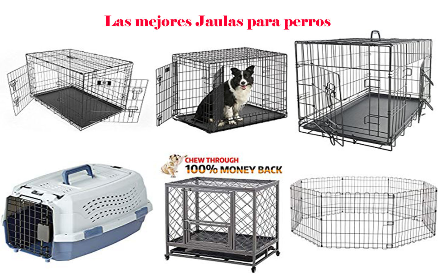 jaulas para perros