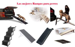 escalera para perros