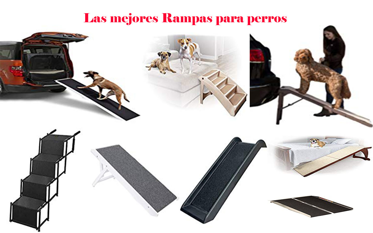 escalera para perros