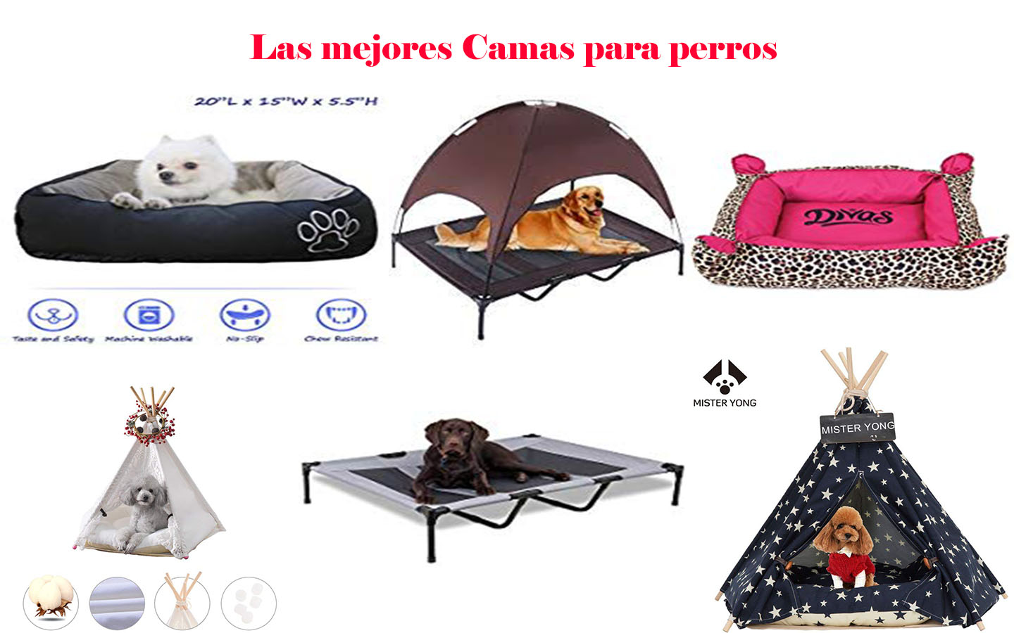 Las mejores camas online para perros