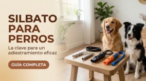 El mejor silbato para perros