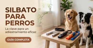 El mejor silbato para perros