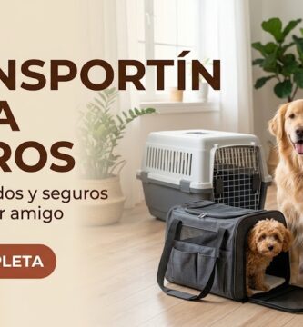 Los mejores Transportines para perros