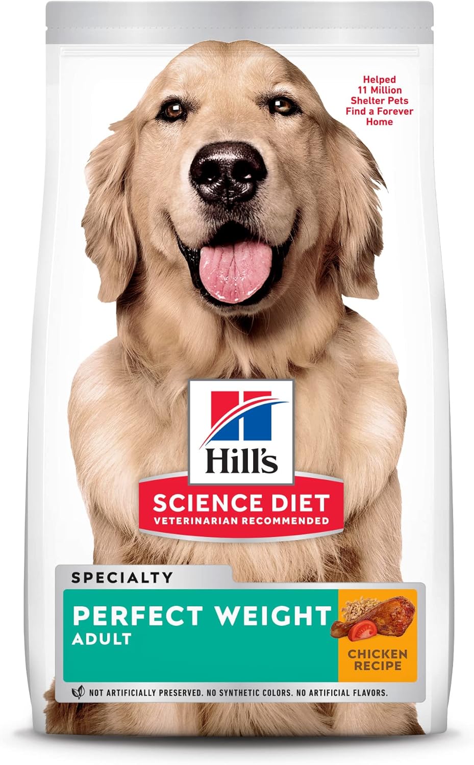 Comida Especial para perros
