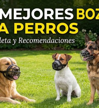 bozales para perros guia completa y recomendaciones