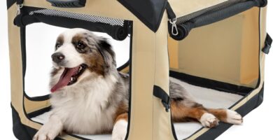 jaula pettycare para perros