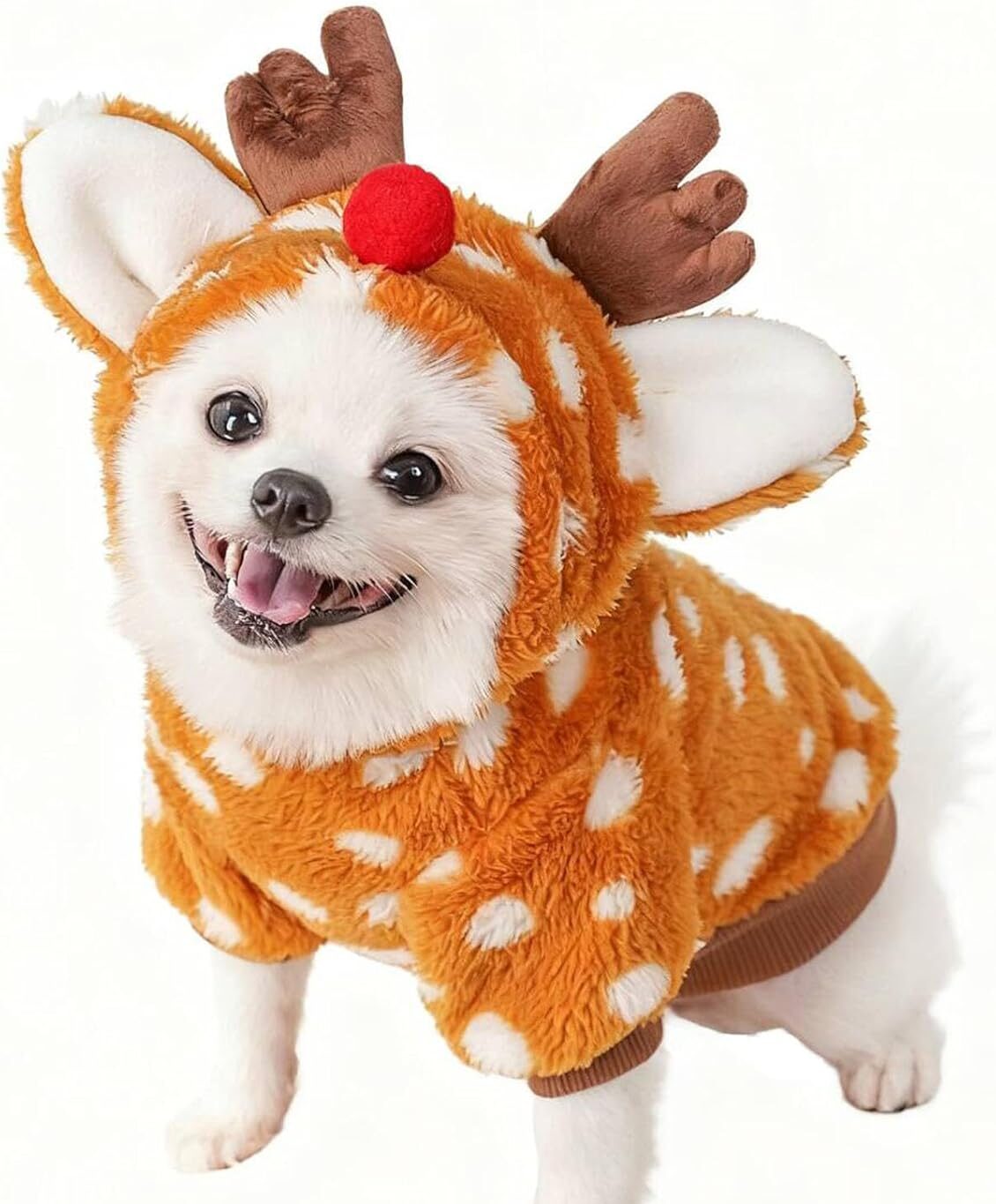 Disfraces navideños para perros